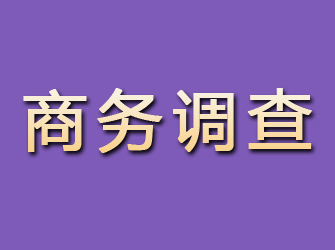 共和商务调查